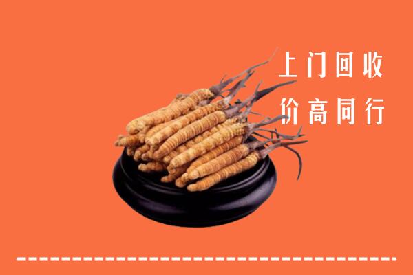 河南县回收冬虫夏草