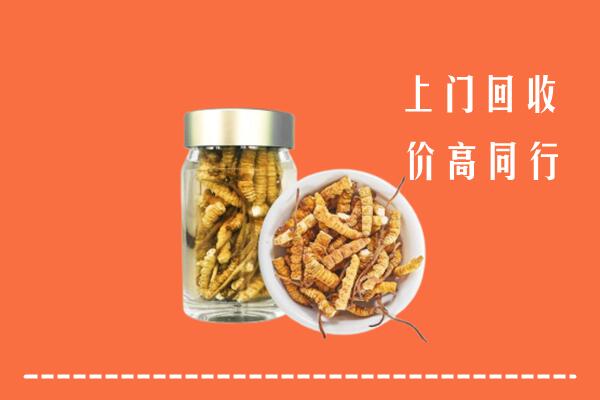 河南县回收冬虫夏草