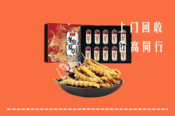 河南县回收虫草